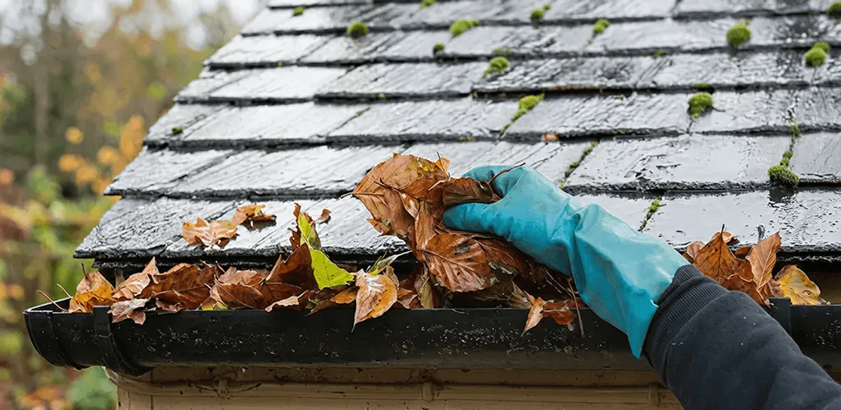 Gutter cleaning technician clearing wet leaves from roof gutters in Phoenix, AZ